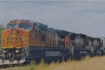 BNSF 896 East